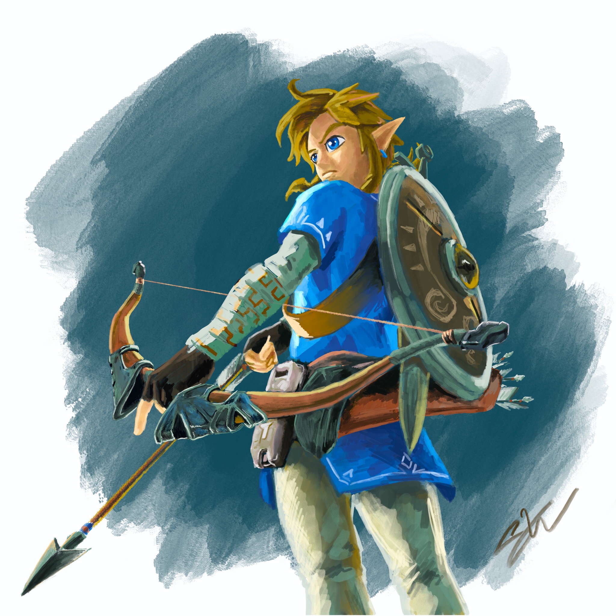 Link, from The Legend of Zelda: Breath of the Wild